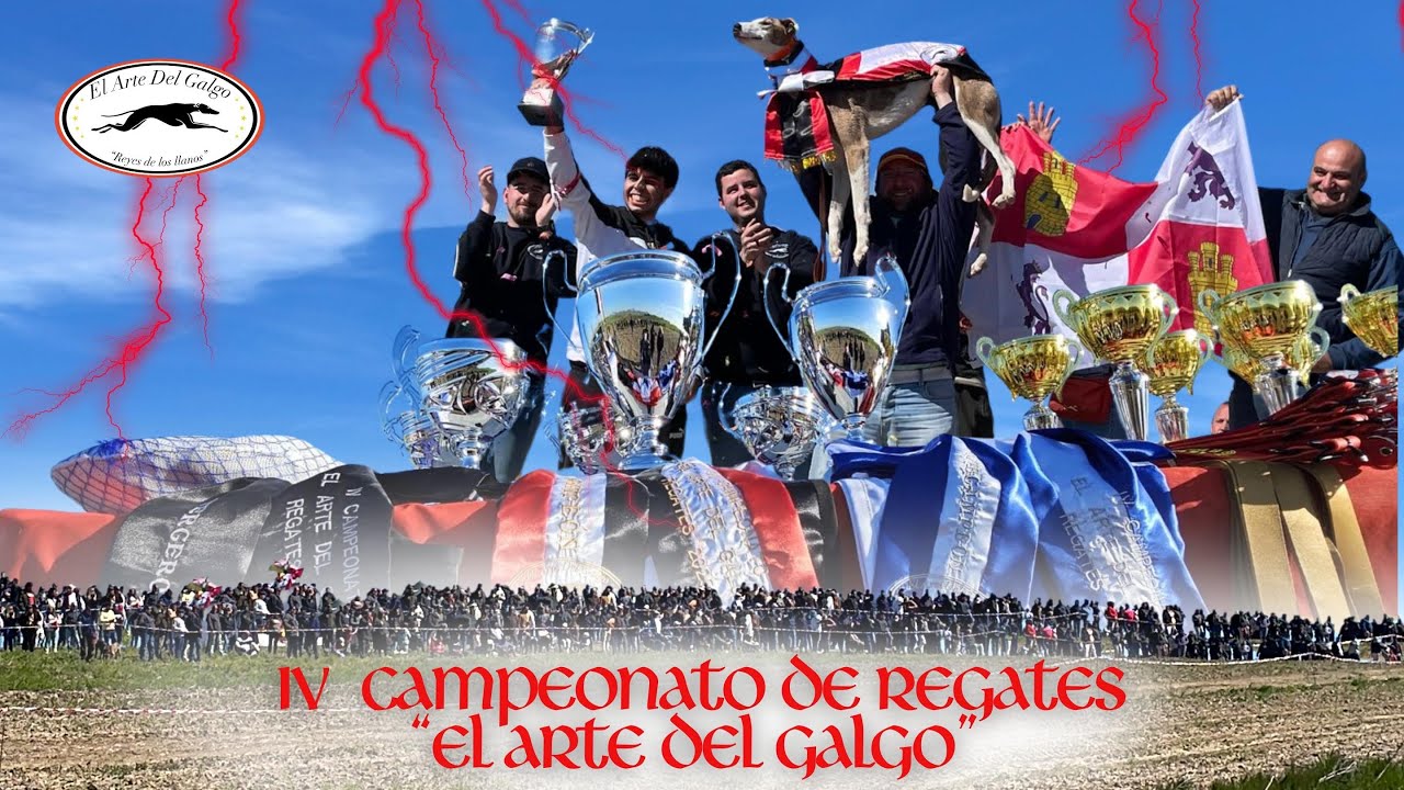 IV Campeonato El Arte Del Galgo 2025