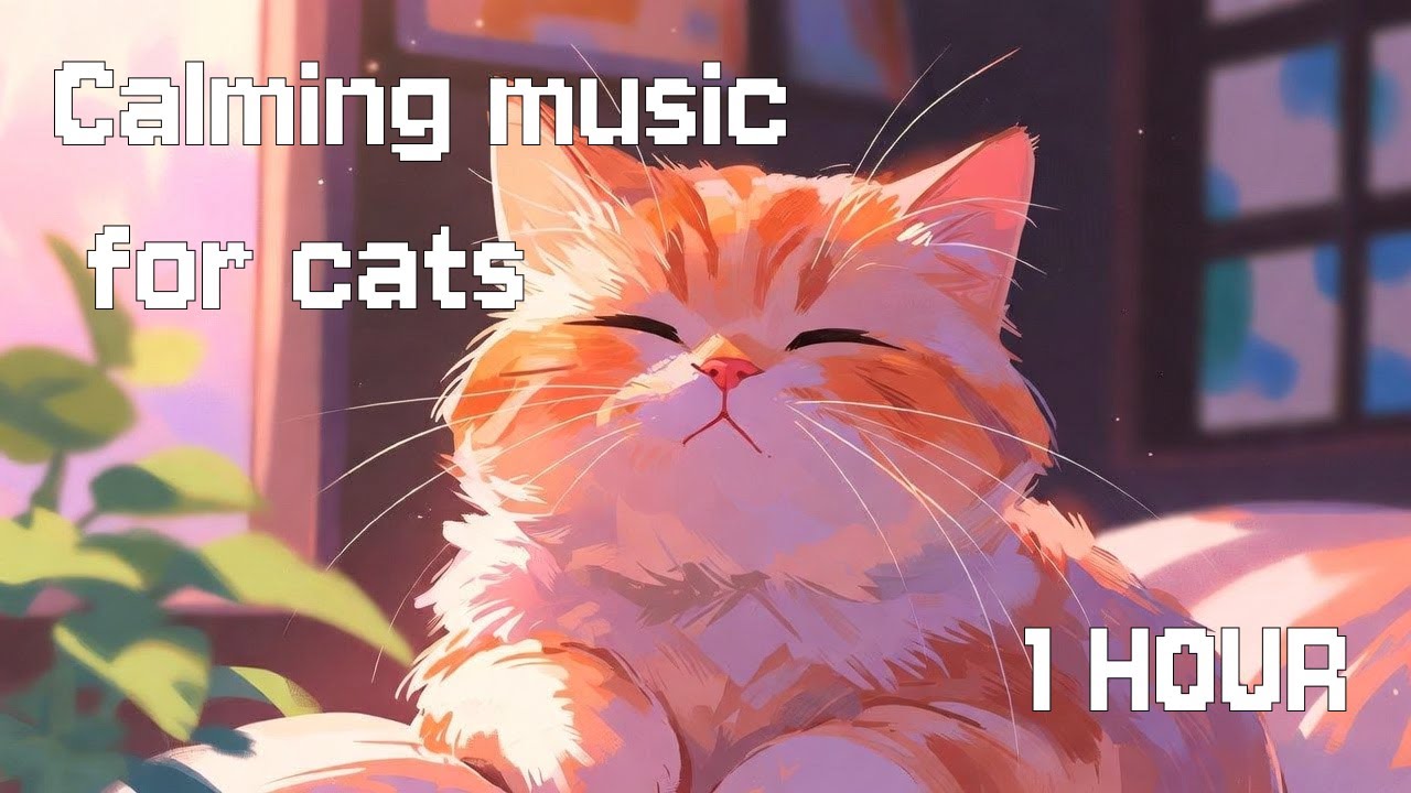 🌿Relaxing Music for Cats😺