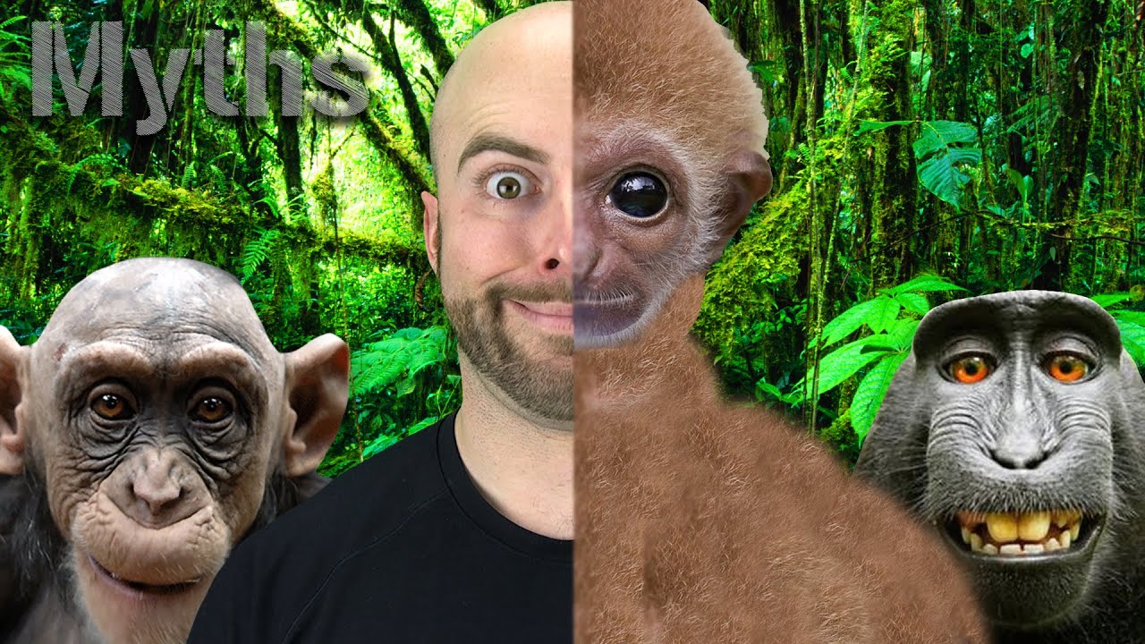 7 MYTHS You Still Believe About EVOLUTION