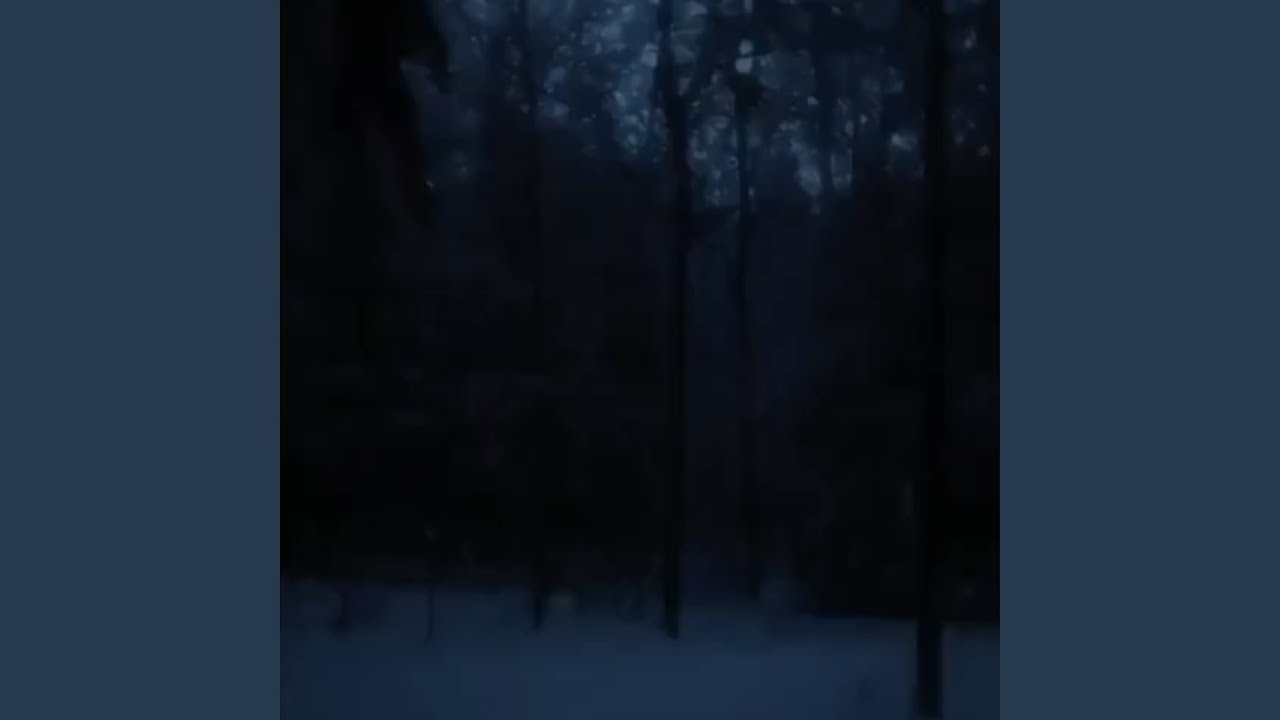 dark snowy night (Speed Up Version)