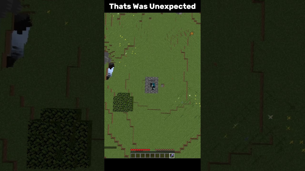 Minecraft Moments 😅😅 