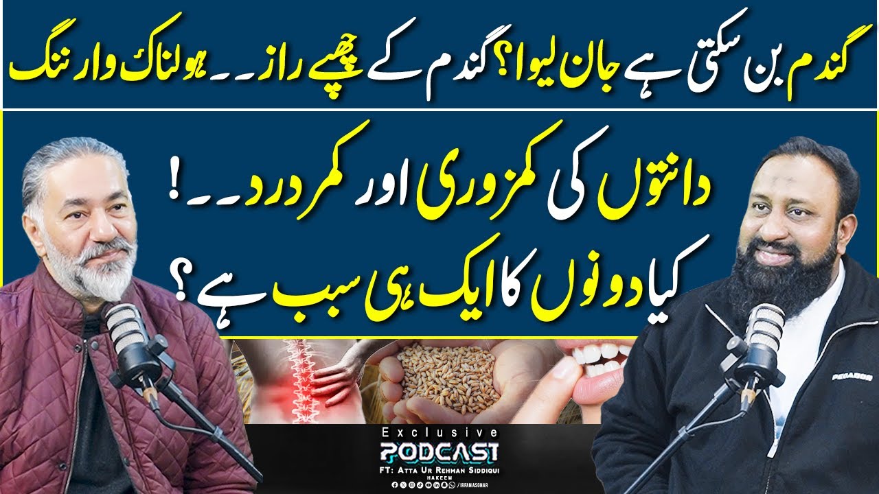 Gandum Ki Hoolnak Warning - Kamar Dard Chupe Kay Raaz | FT: Atta Ur Rehman Siddiqui | Irfan Asghar