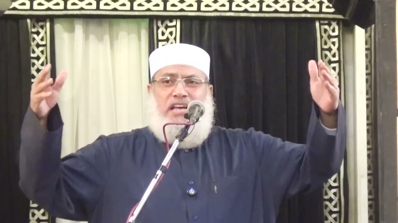الاحترام واجب للشيخ السيد البشبيشي