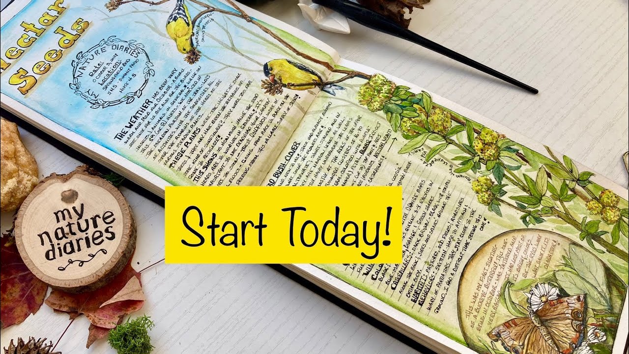 5 Tips to Start Your Art Habit/Nature Journal