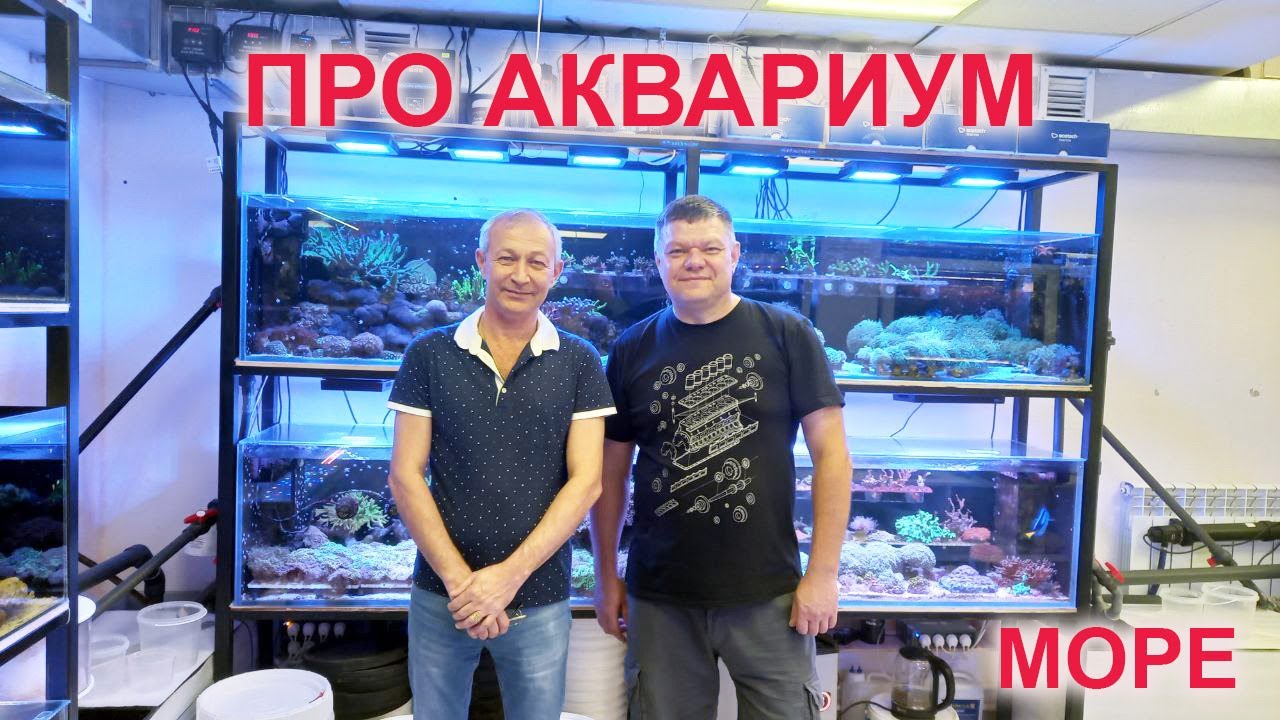 Про аквариум
