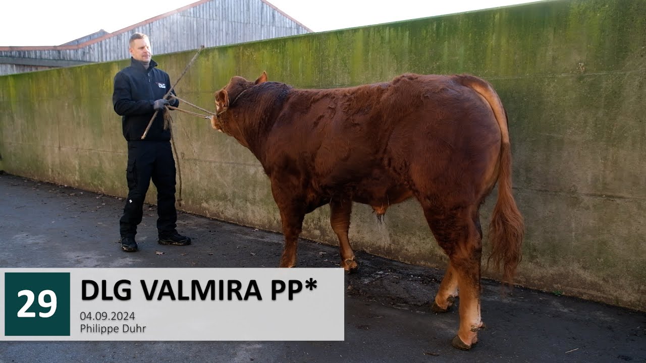 29 DLG VALMIRA PP