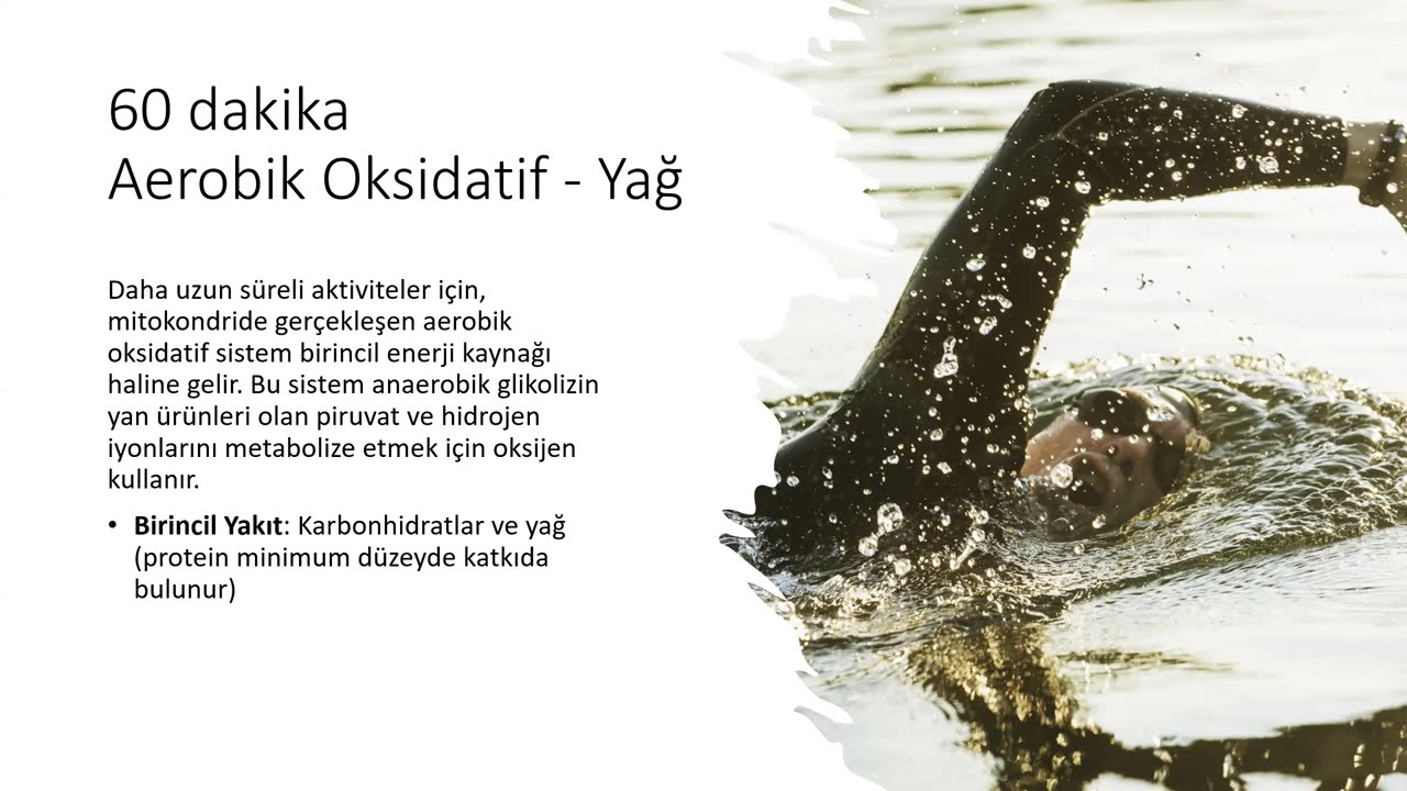 Nedir Bu Antrenman Zone'ları? Webinar