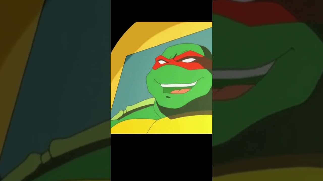 Raphael roasting everyone #tmnt #tmnt2003 #tmnt2012 #tmntraph