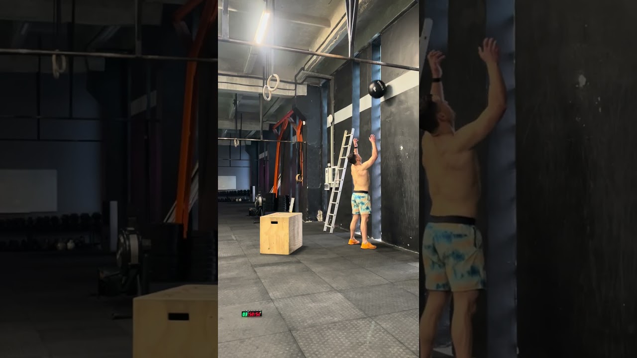 26.1 1