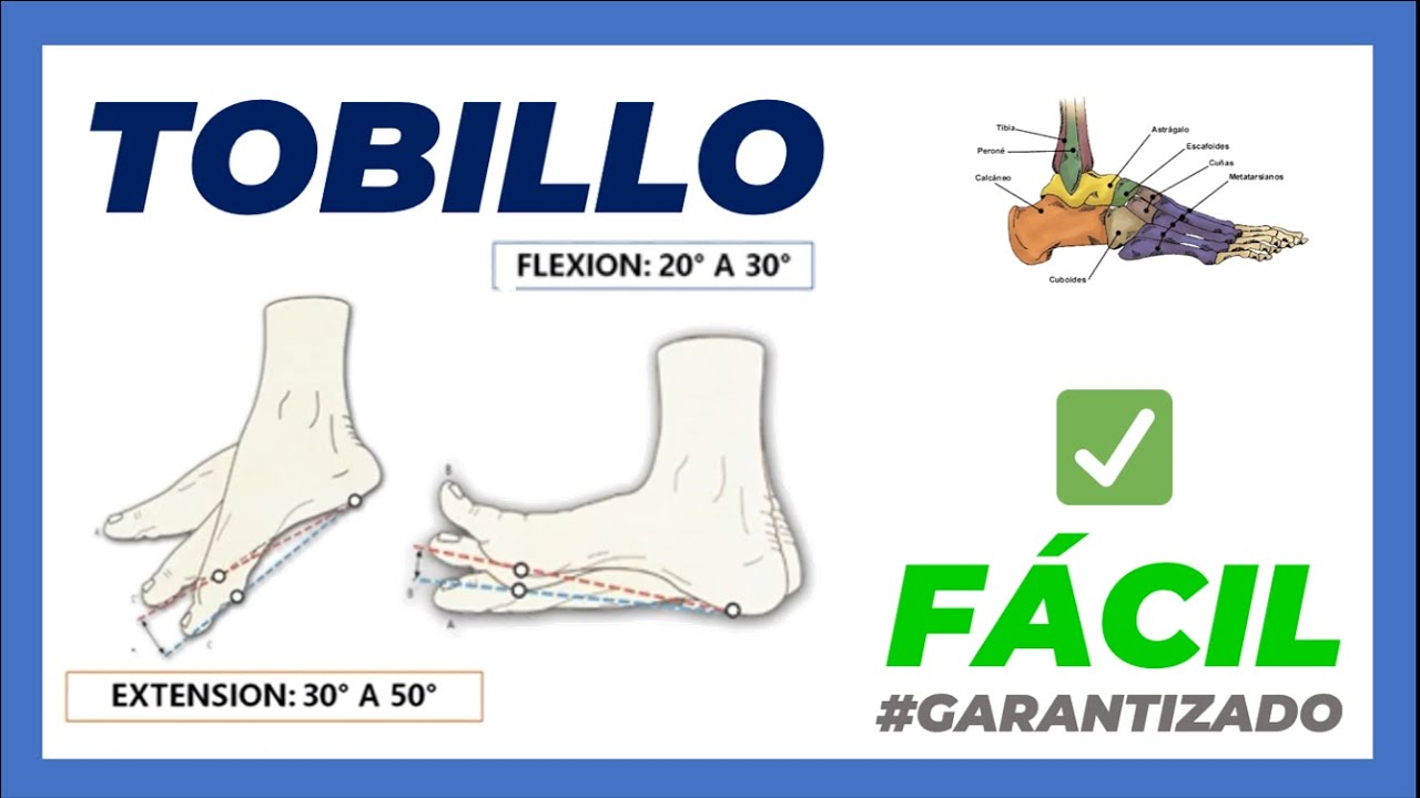 ✅ARTICULACION DEL TOBILLO y PIE 👉 (MOVIMIENTOS) Fácil Tibioperonea