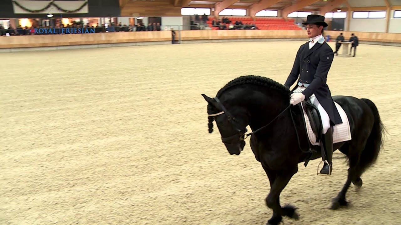 Walt 487 Centraal Onderzoek 2015