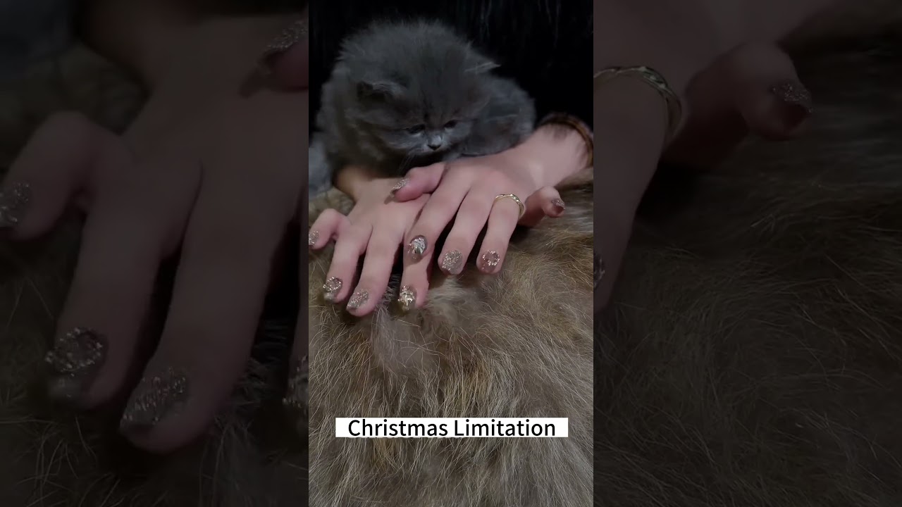 Christmas Limited Manicure, Stunning everyone💅💅💅#nails #christmas #manicure #nailsart #nailstyle