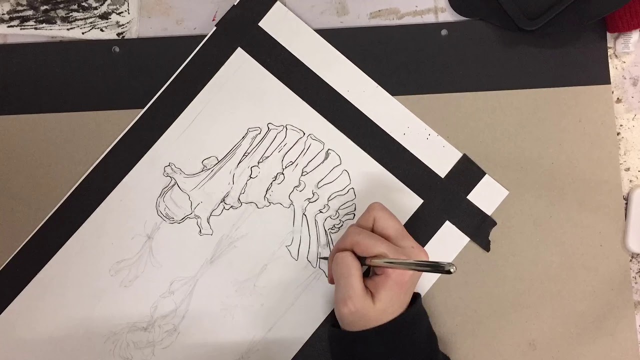Ink Timelapse: Ligne Claire