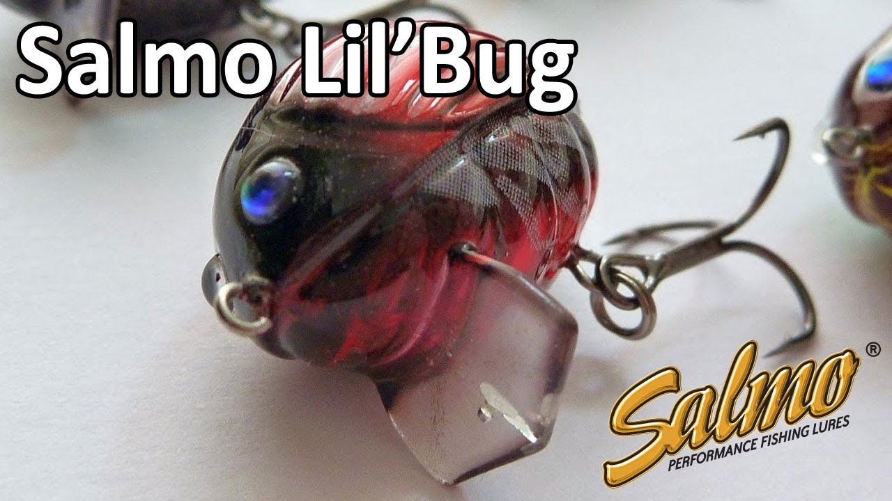 Salmo lil'bug