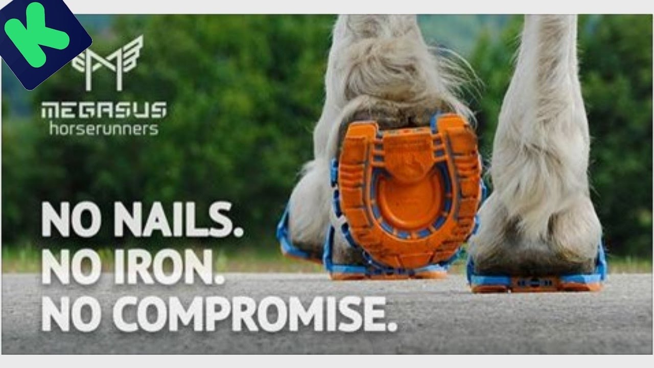 New invention Megasus Horserunners - For Horses and Horse Lovers.