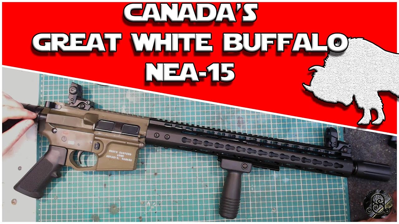 THE NEA 15 CANADA'S GREAT WHITE BUFFALO. AN ACTUAL AR-15 MADE IN ONTARIO. #historysmith #ar15