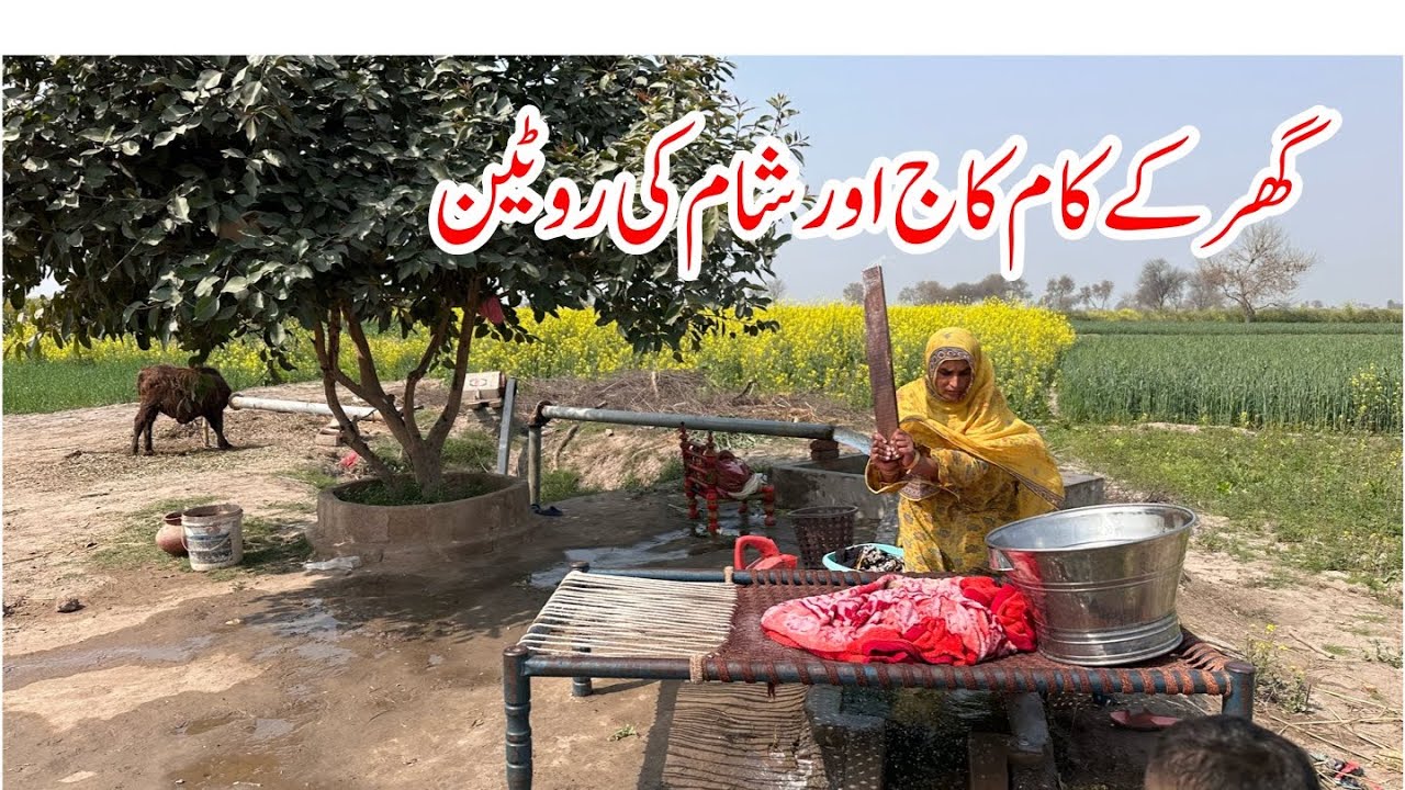 Ghar Ke Kaam Kaaj Our Shaam Ki Routine I Village Tradition Family Vlogs I Happy Joint Family