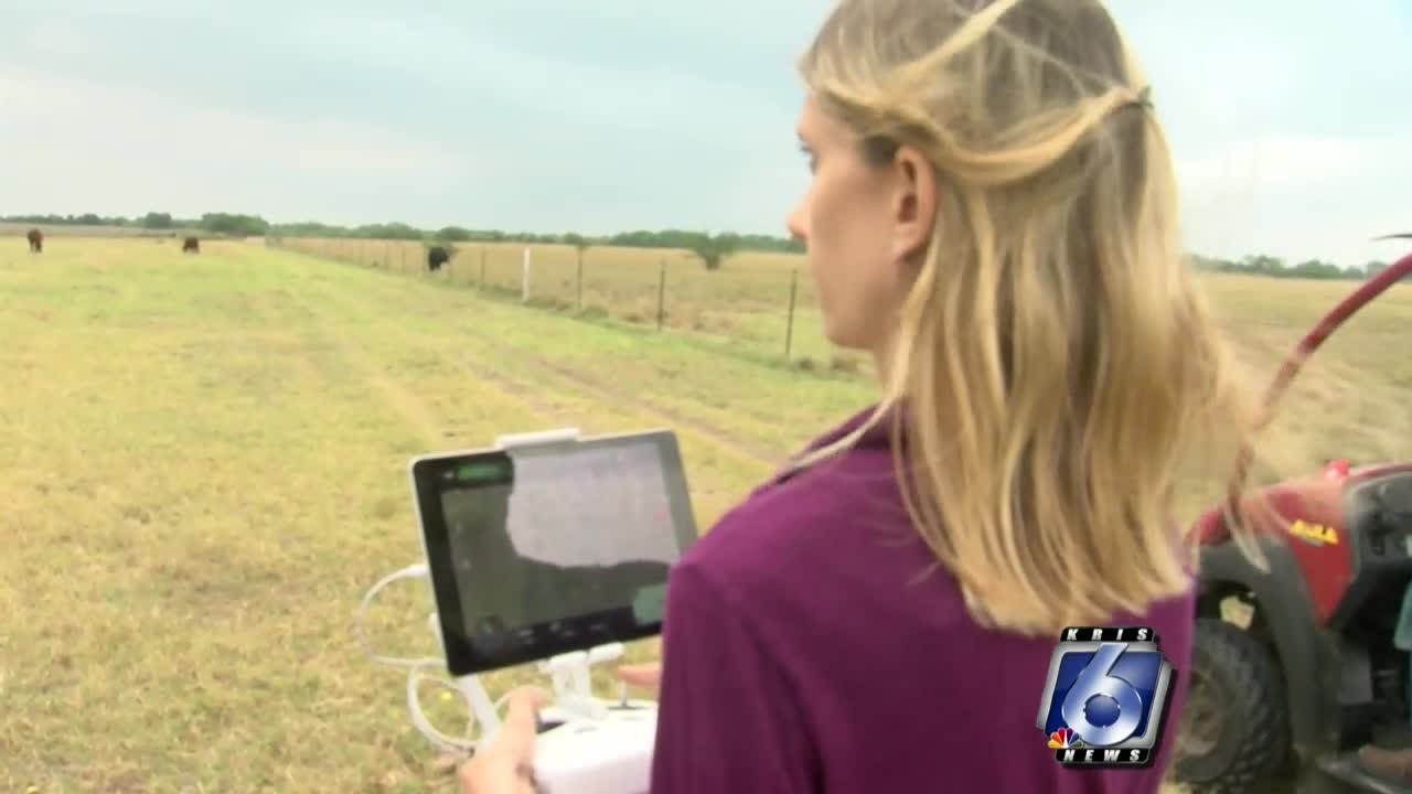 Drones are making ranching a lot more efficient