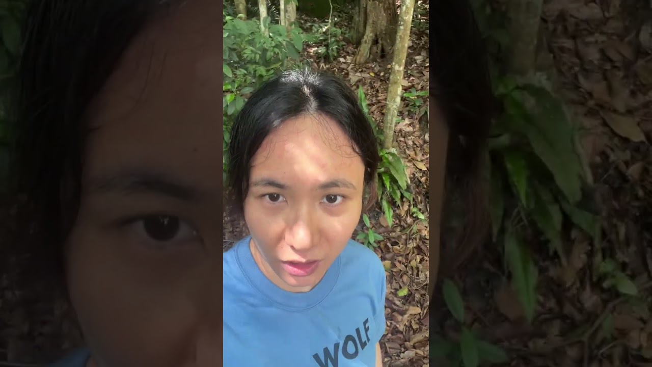 Monkeys @ Bukit Timah hill 