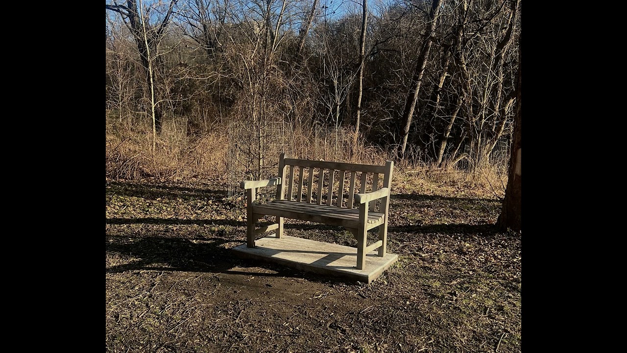 The Empty Bench That Isn't Empty