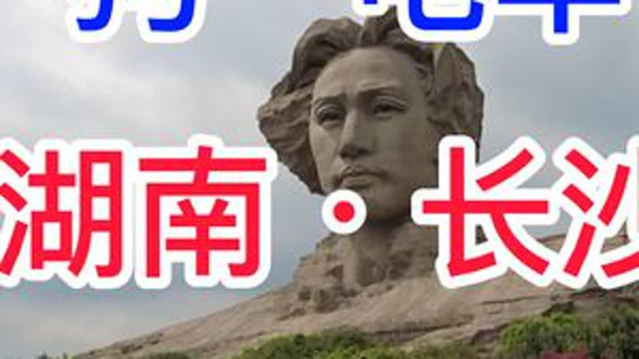 一人一狗一电车，到湖南长沙了 #长沙 #边牧 #环游中国