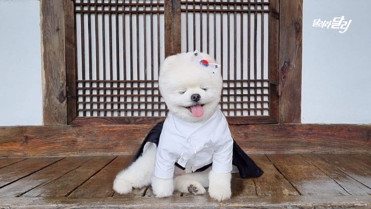 🇰🇷대한민국 만세! 독립운동의 성지 밀양으로 떠나는 여행