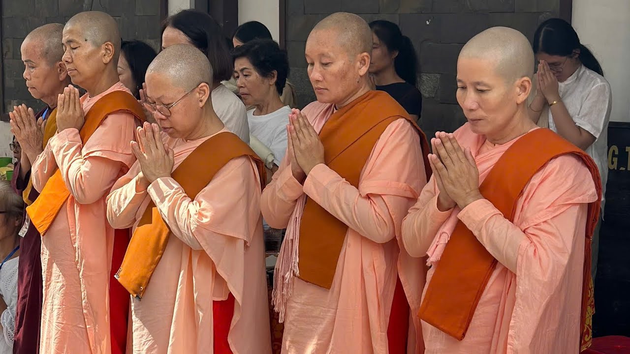 NT 2026.01.25 Các Vị Tu Nữ Myanmar đến đảnh lễ Tam Bảo và giao lưu cùng Thiền Sinh Việt Nam.