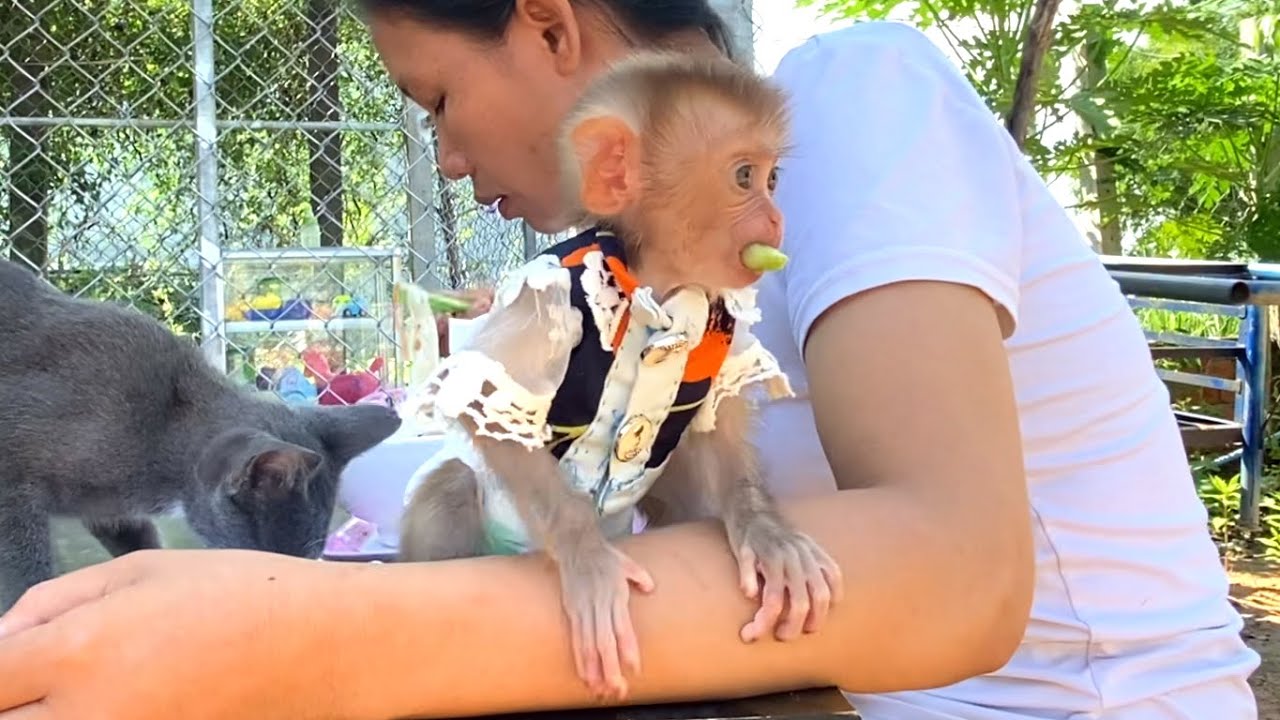 What's In The Adorable Baby LIORA's Mouth? Maybe She Like The Cucumber