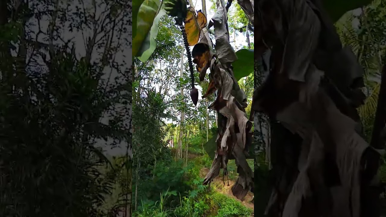 You Won't BELIEVE This Place Exists (Stunning Nature Views)