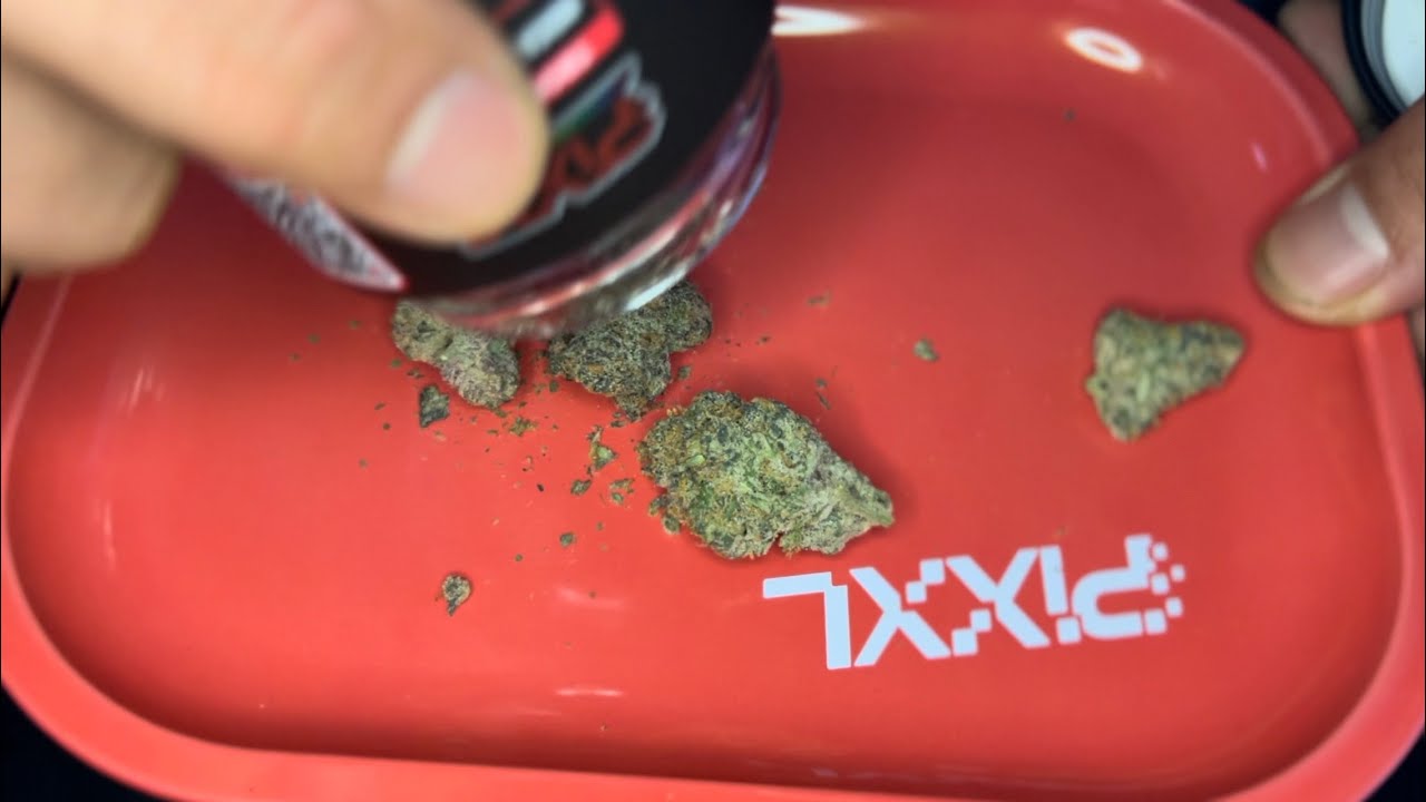 This Cannabis Flower Was 31.57% Percent THC