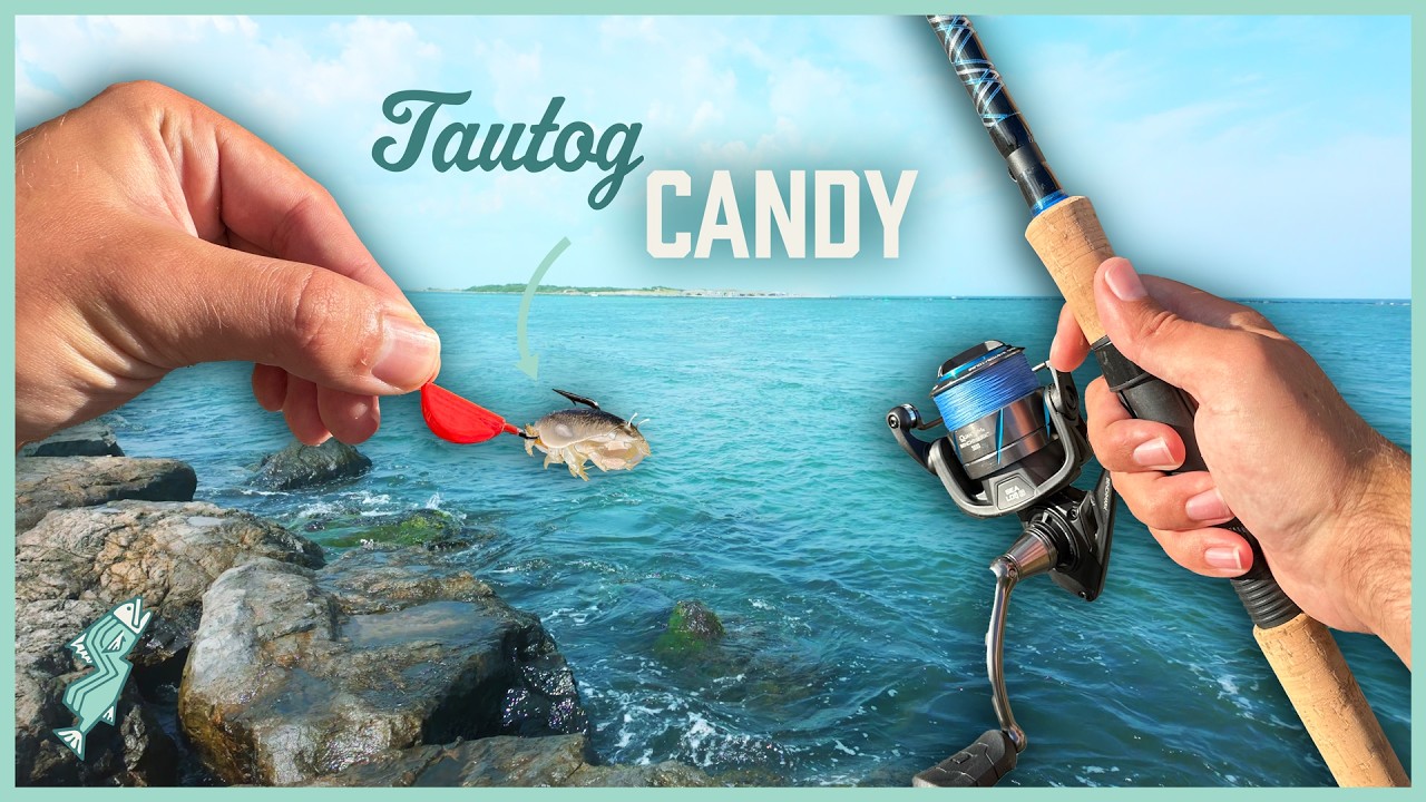 Tautog Season is HERE! | Tog Fishing the Jetty with Jigs