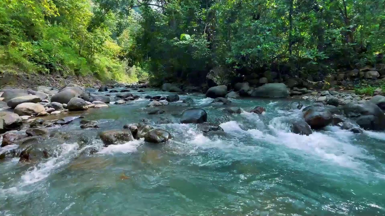Relaxing River Sounds for Focus, Studying & A Peaceful Home 🌿 Relaxing Sleep Calming Anxiety