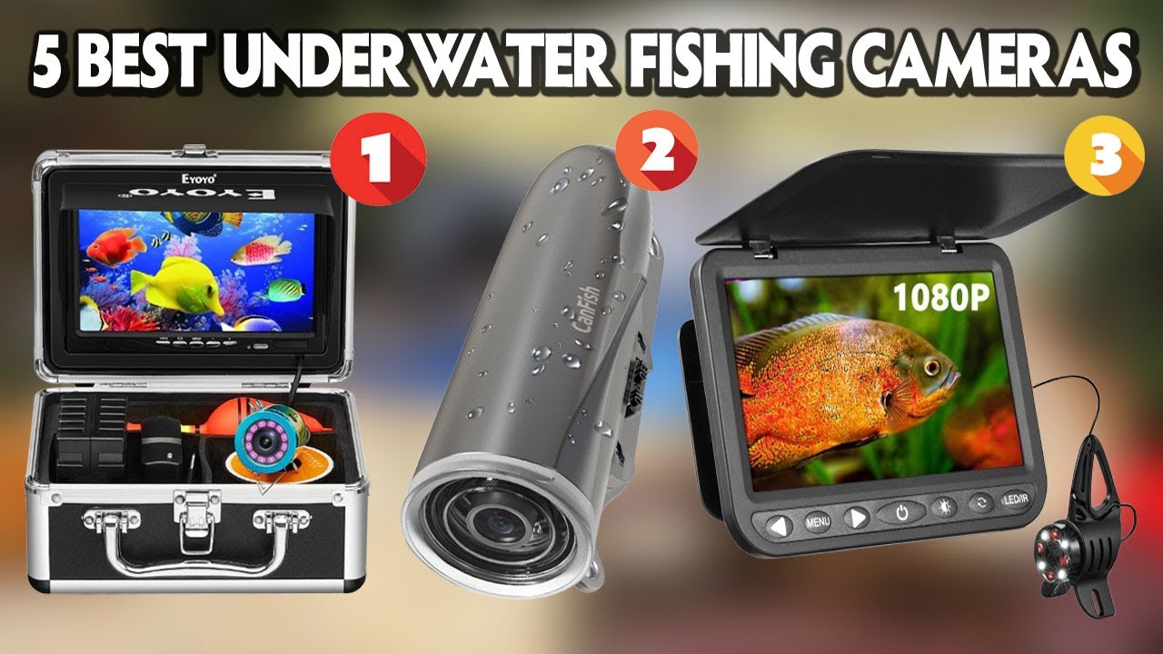 Best Underwater Fishing Cameras 2025 🐟 🐠 DON'T Buy a Underwater Fishing Camera Until You See This!