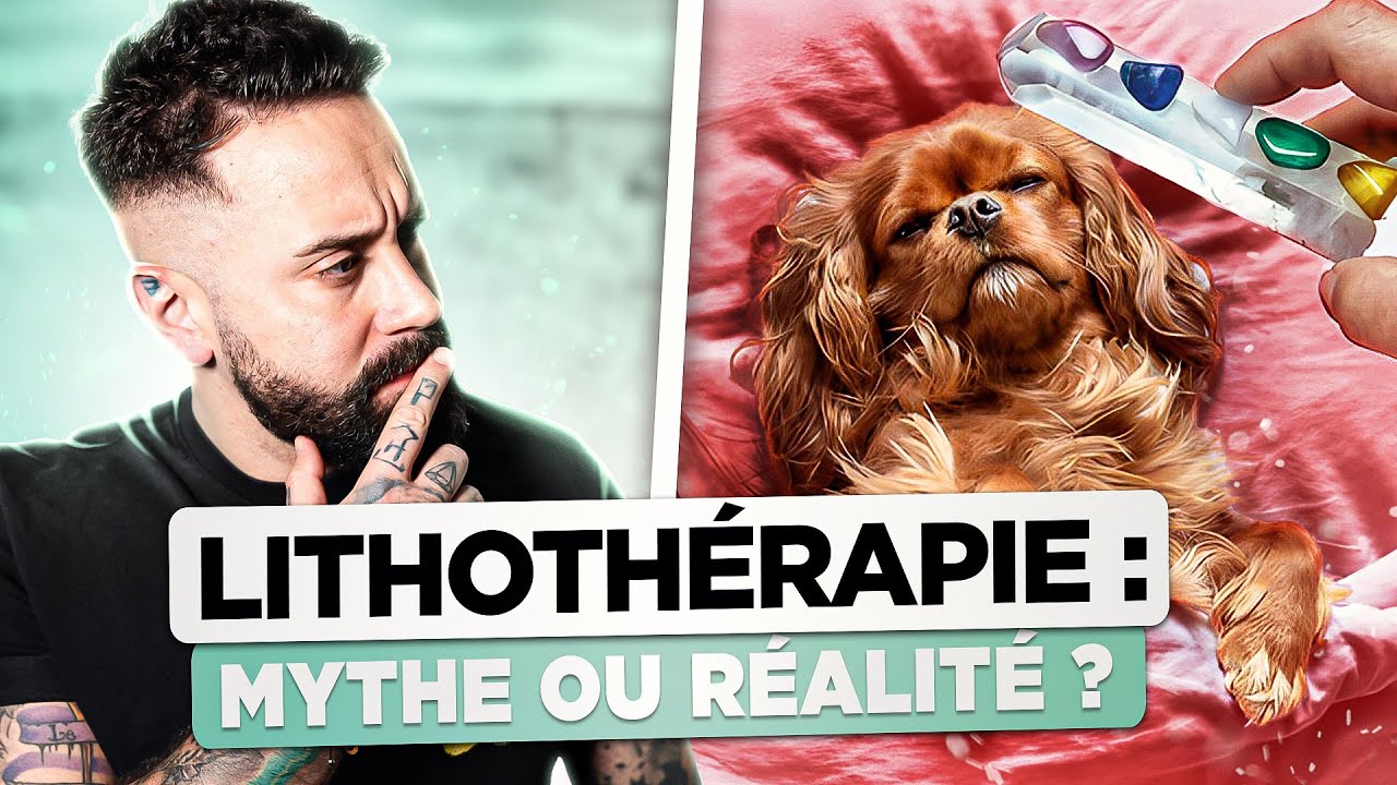 La lithothérapie a t-elle VRAIMENT des bienfaits pour les chiens ?