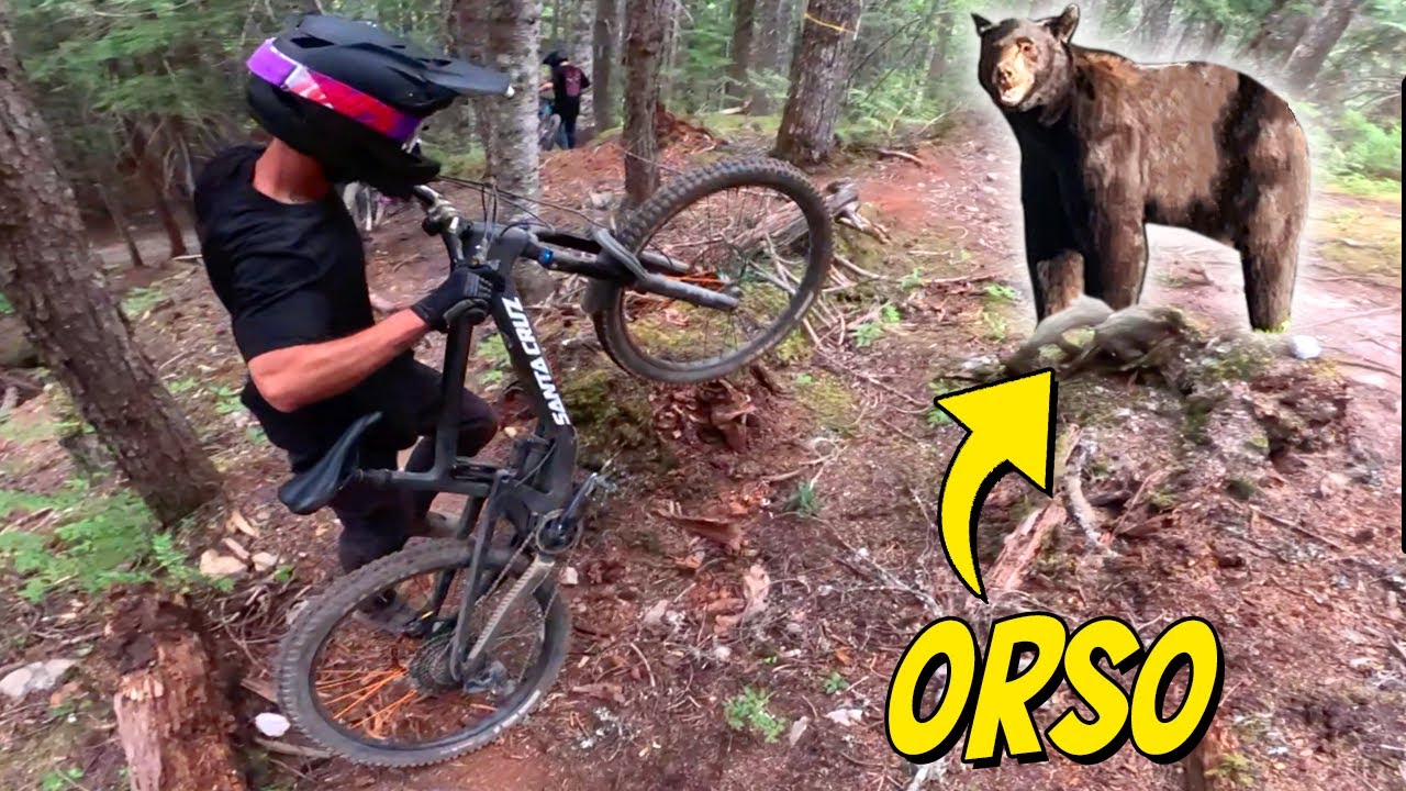 INCONTRO RAVVICINATO CON UN ORSO IN BICI ☠️ (redbull joyride)