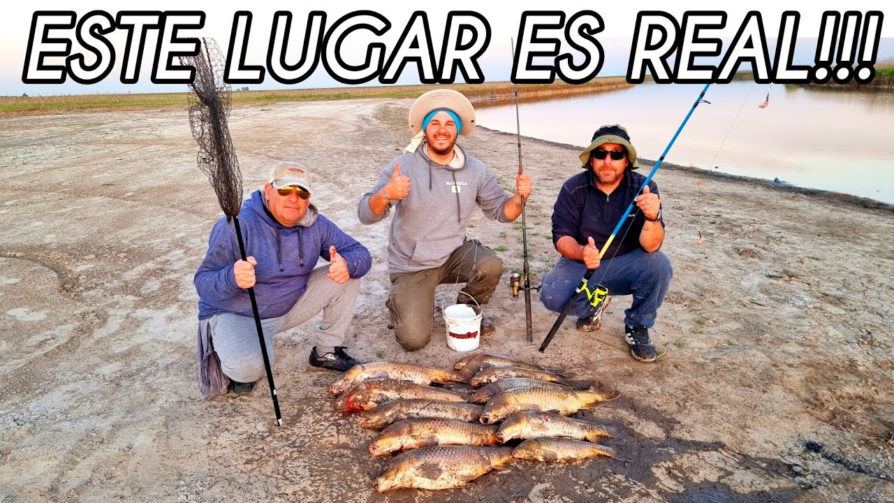 Lugar TOTALMENTE GRATIS y fácil de llegar, 100% RECOMENDABLE mucha pesca de carpas y mas, mjpesca