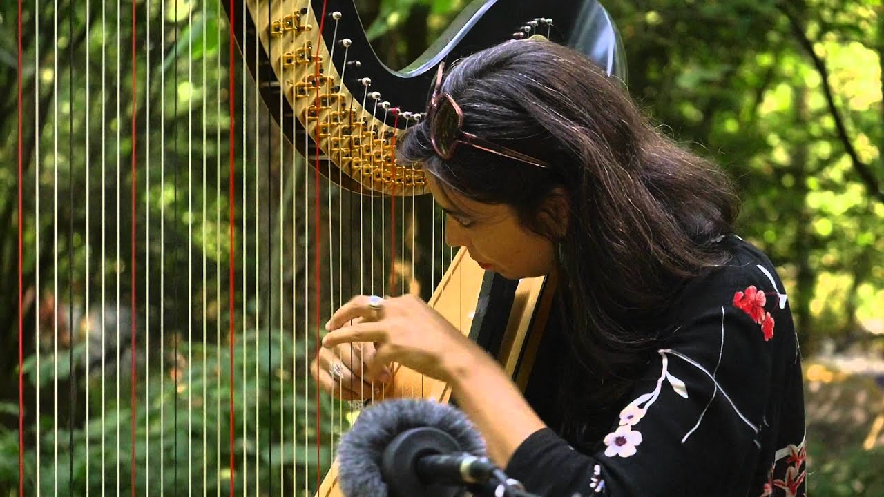 The Barr Brothers - Love Ain't Enough (Live on KEXP @Pickathon)