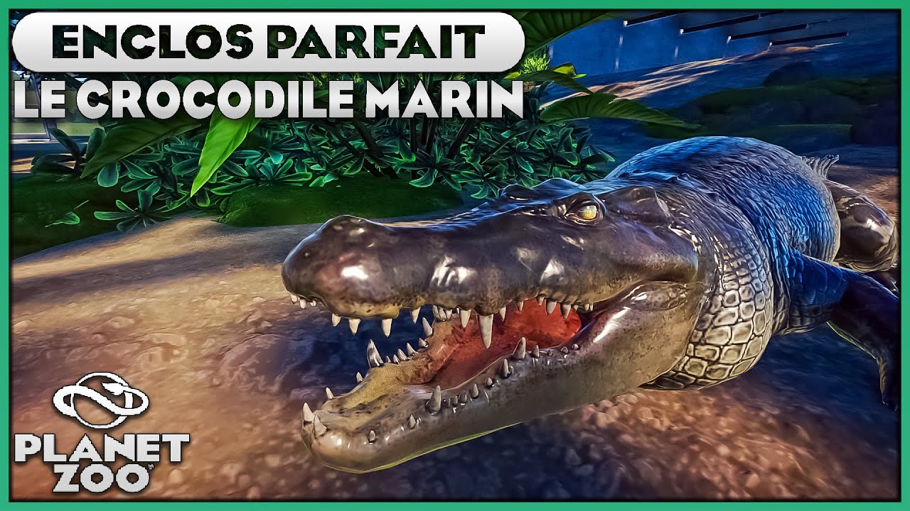Les Crocodiles Marins (et le bug de l'animal Bêta) | LES ENCLOS PARFAITS : EPISODE 13 | PLANET ZOO