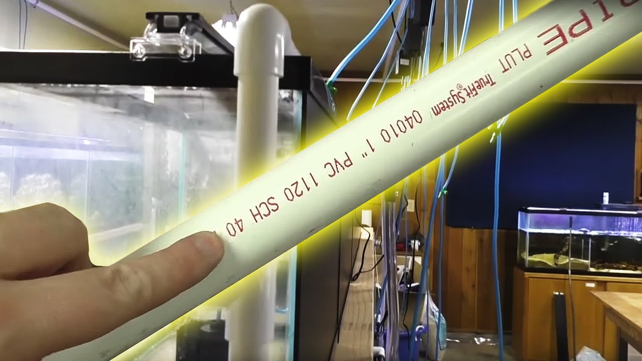 Install DIY Auto Fill Lines for Water Change System | How to Build a Fish Room (Part 4)
