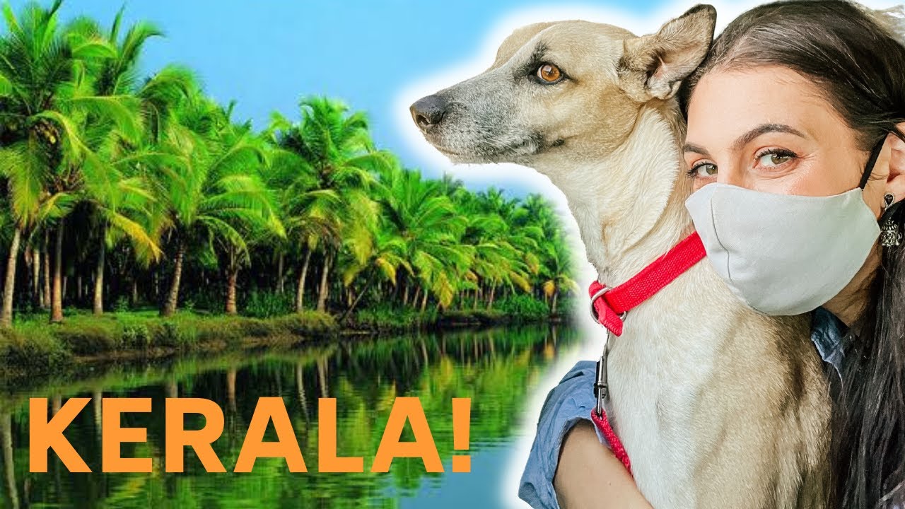 Bangalore to Wayanad travel vlog |  foreigner in India