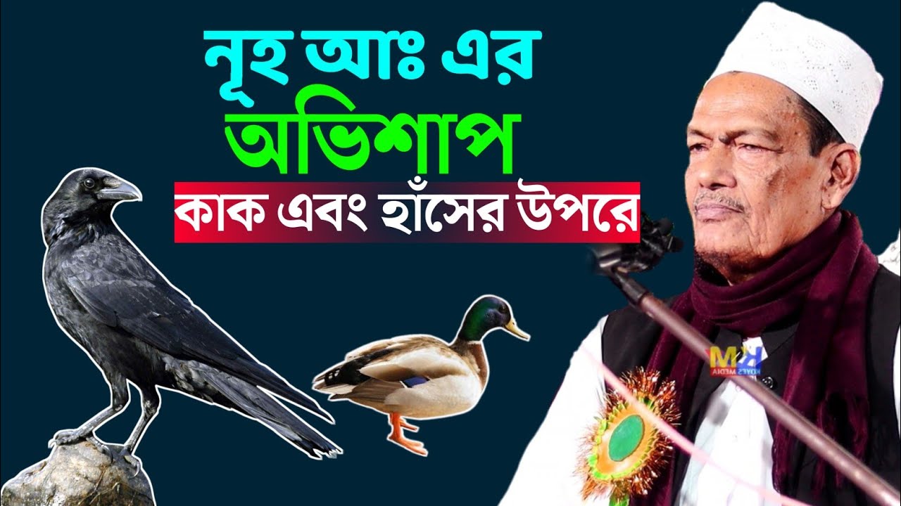 নূহ আঃ এর অভিশাপ কাক এবং হাঁসের উপরে শুনেন | Allama Abdul Jalil nijami Sahib
