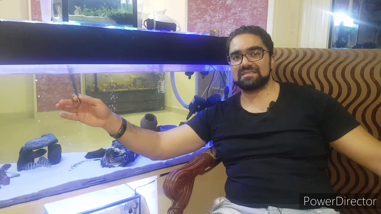 الطريقة الصحيحة لحفض درجة حرارة مياة احواض اسماك الزينة فى فصل الصيف اسباب تلف سخانات الاحواض