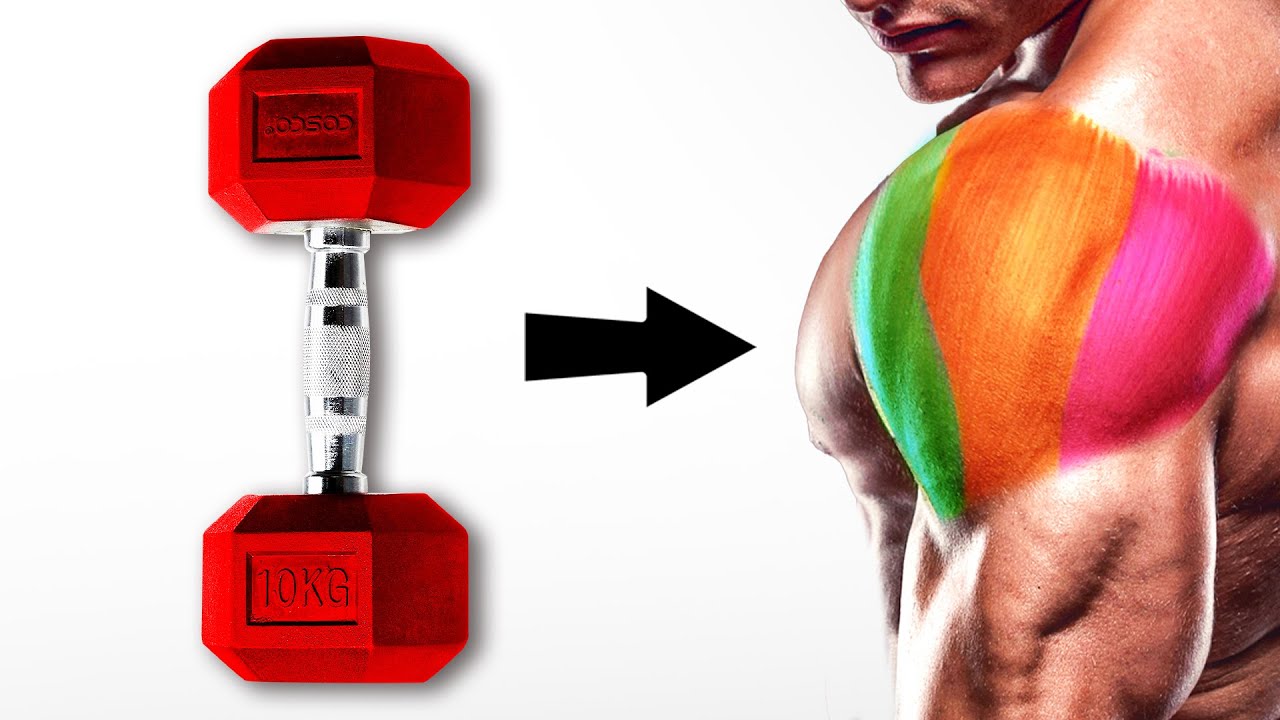 Treino Completo de Ombro só com HALTERES