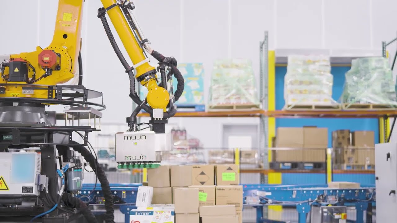 Unlock the Power of Intelligent Robotics for Automated Mixed-SKU Depalletizing