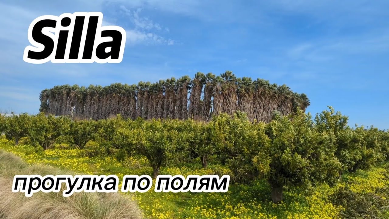 Валенсия, Силья: прогулка по полям и рыба | Valencia, Silla