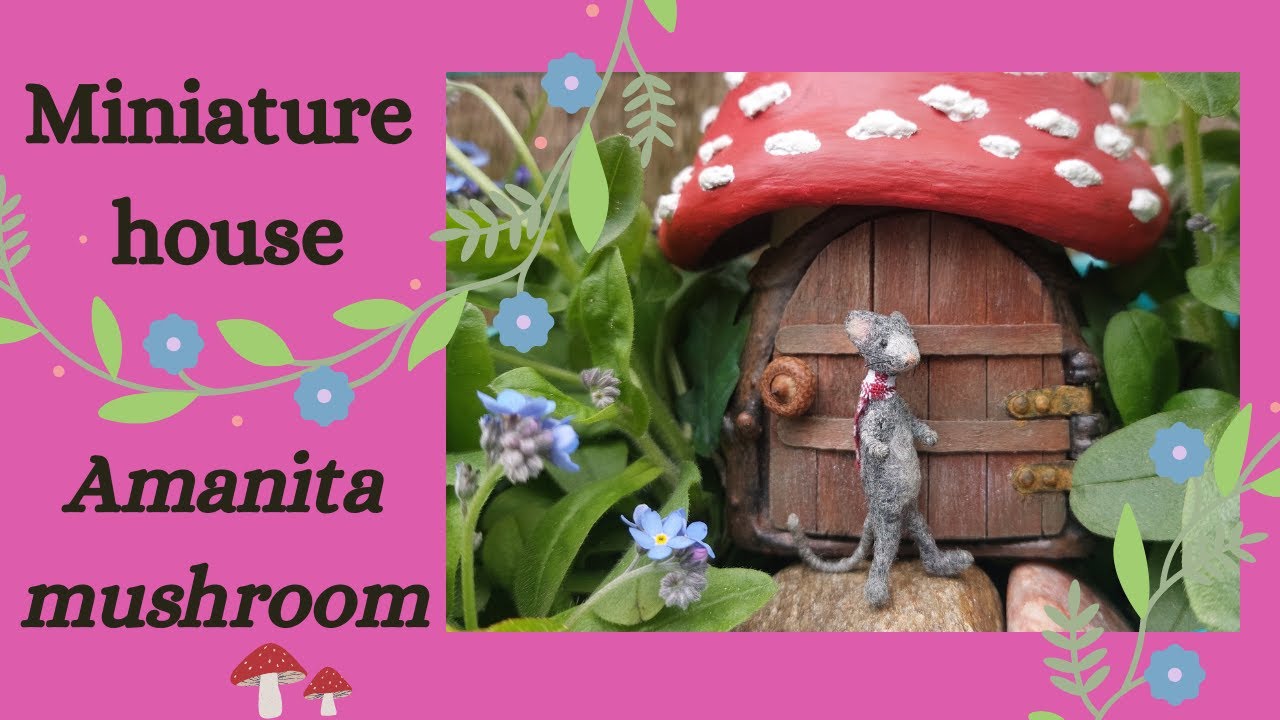 Makeover a tiny fairyhouse / Amanita mushroom