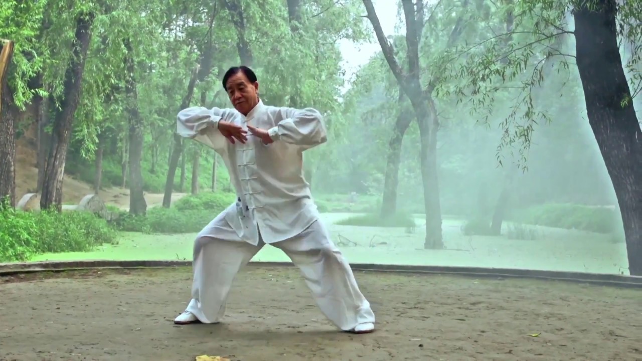 CHEN STYLE TAIJIQUAN OF MASTER ZHU TIANCAI 13 SET PATTERNS OF OLD FRAME MOVEMENTS