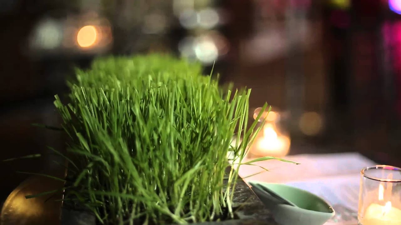 Petit Pois, Charlottesville