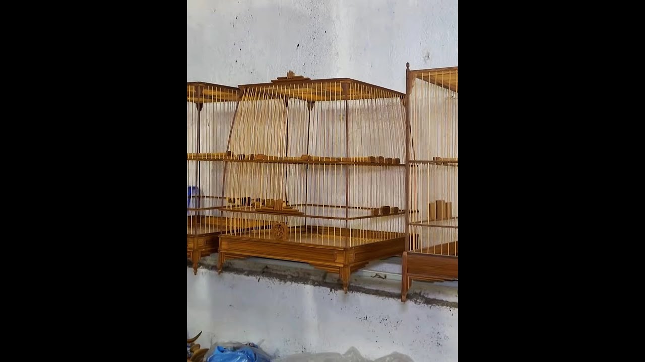 鸟笼制造全过程，以手工打造高昂竹编 #鸟笼 #手工 #老手艺