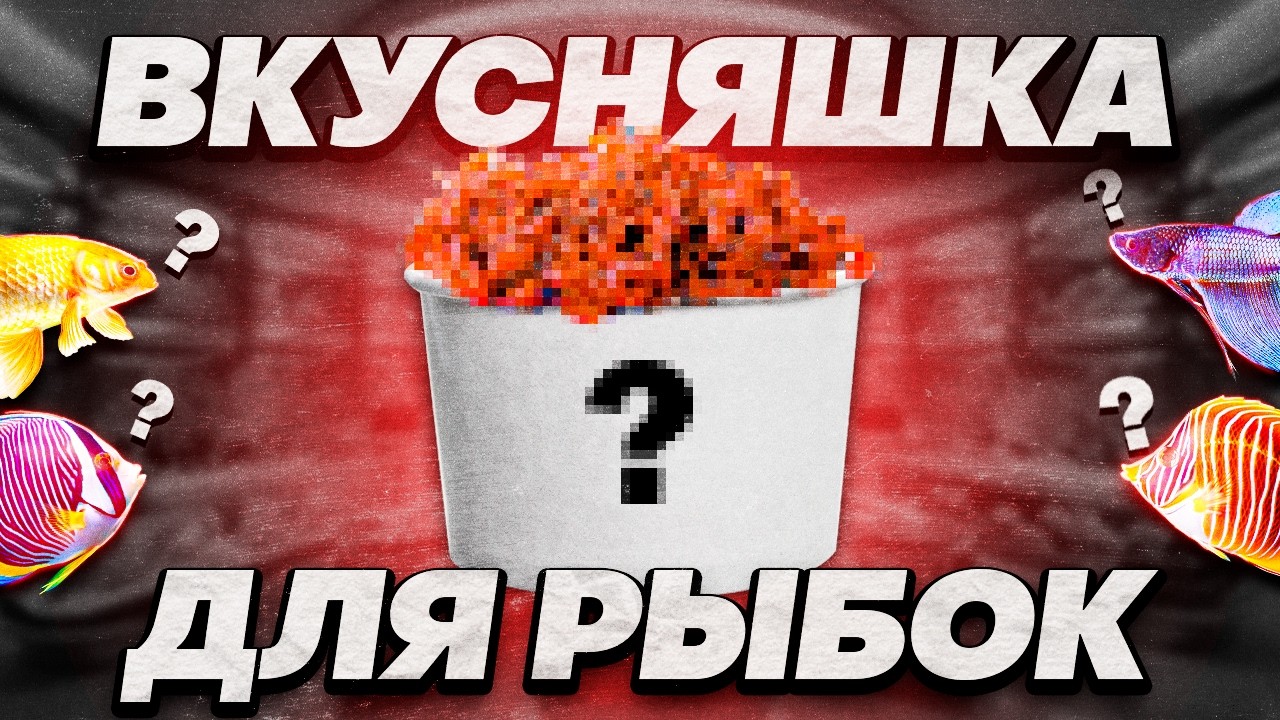 Живой корм для аквариумных рыбок круглый год! Как содержать и разводить нематоду! 4К